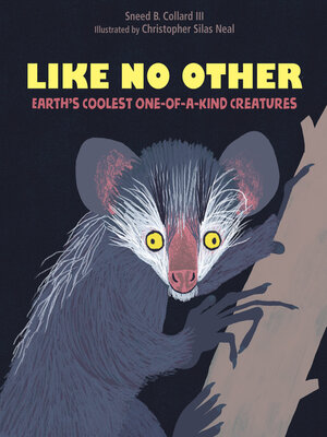 cover image of Like No Other